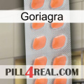 Goriagra 26